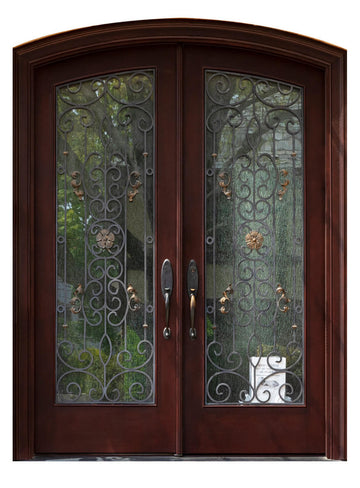 Royal 025 Wrought Iron Custom Exterior Door by Nova