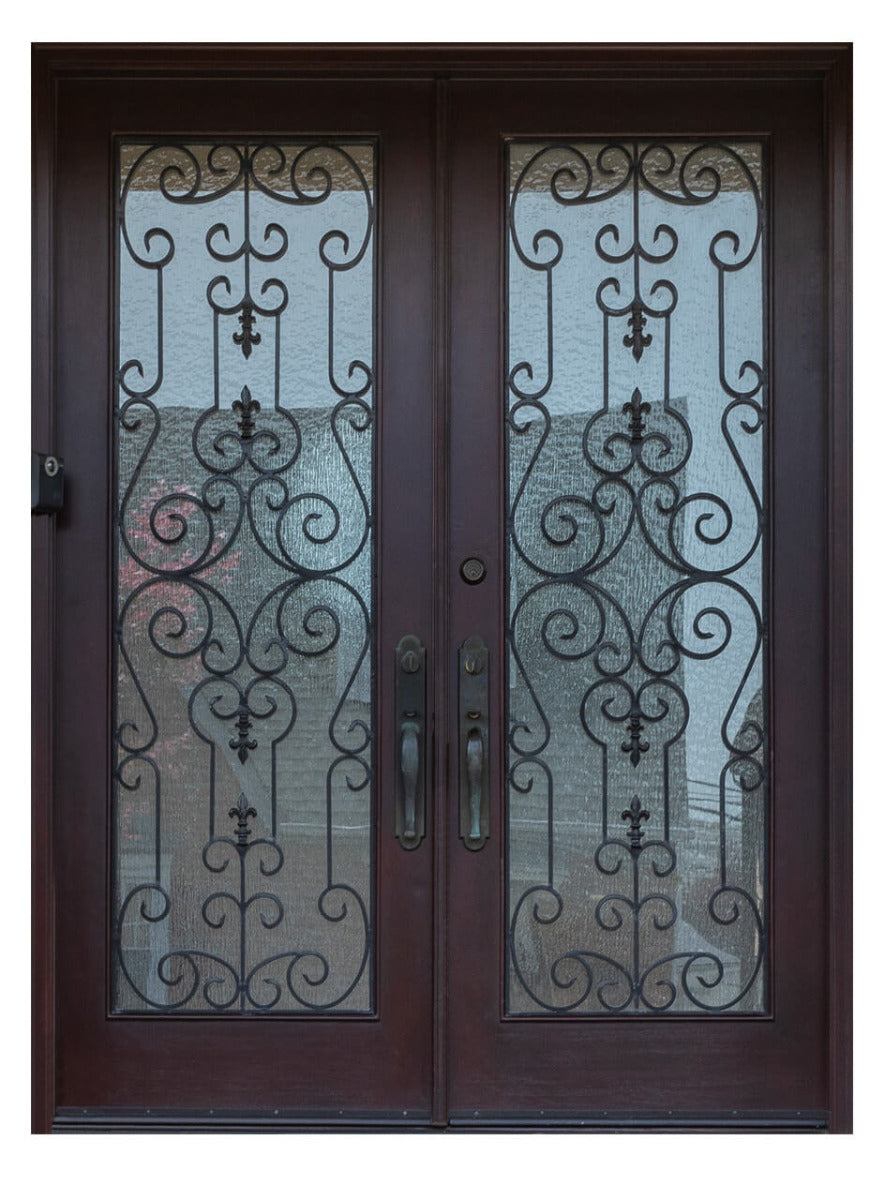Royal 027 Wrought Iron Custom Exterior Door by Nova