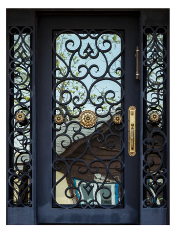 Royal 028 Wrought Iron Custom Exterior Door by Nova