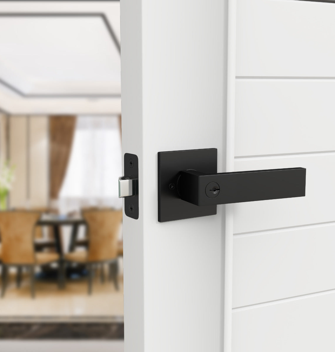 Mega Handles Robell Single Tubular Entry Handleset Short Matte Black MB