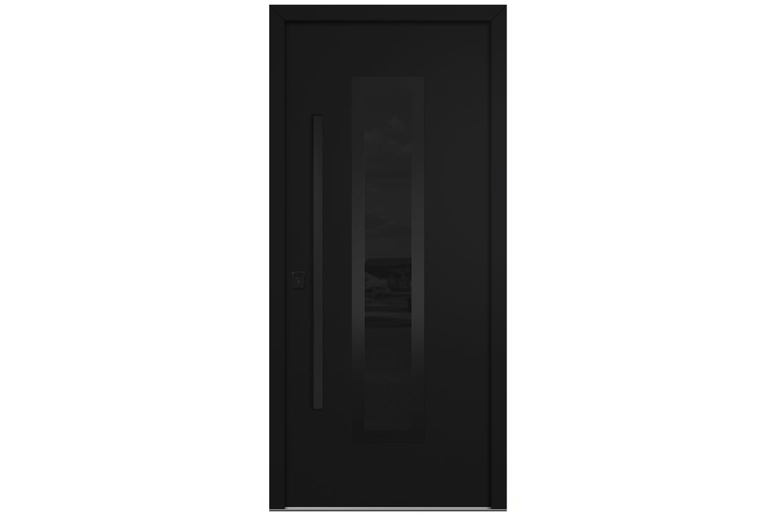 Nova Inox S1 Black Modern Exterior Door with Black Stainless Steel