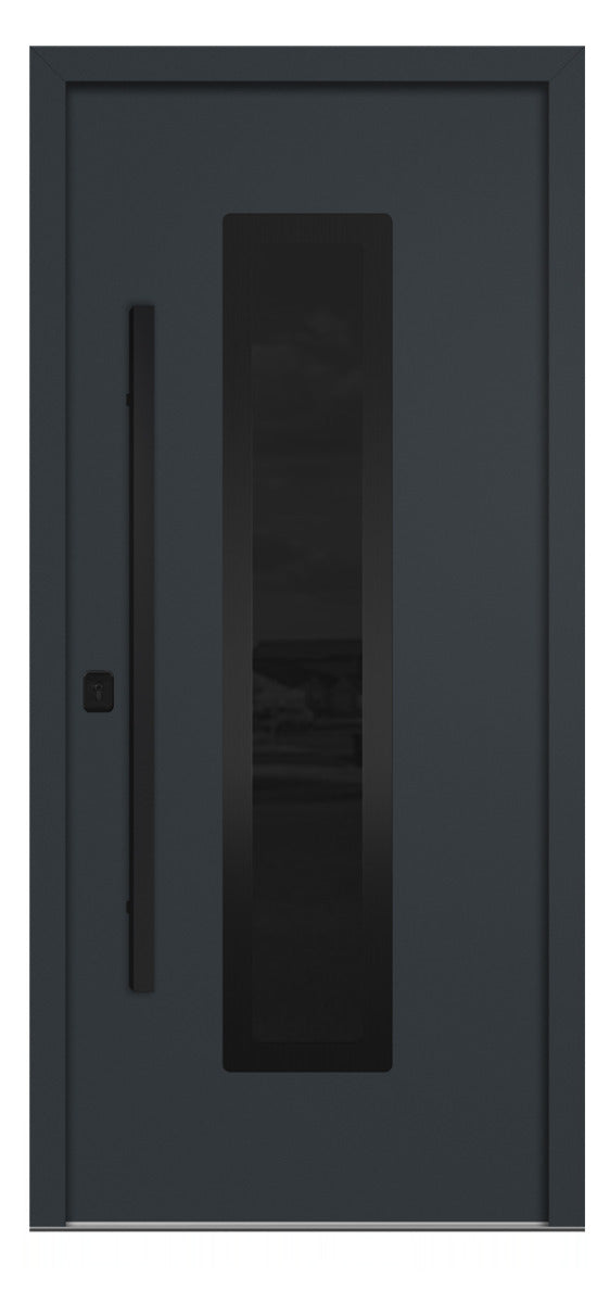 Nova Inox S1 Gray Modern Exterior Door with Black Stainless Steel