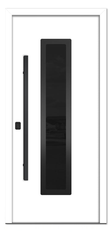 Nova Inox S1 White Modern Exterior Door with Black Stainless Steel