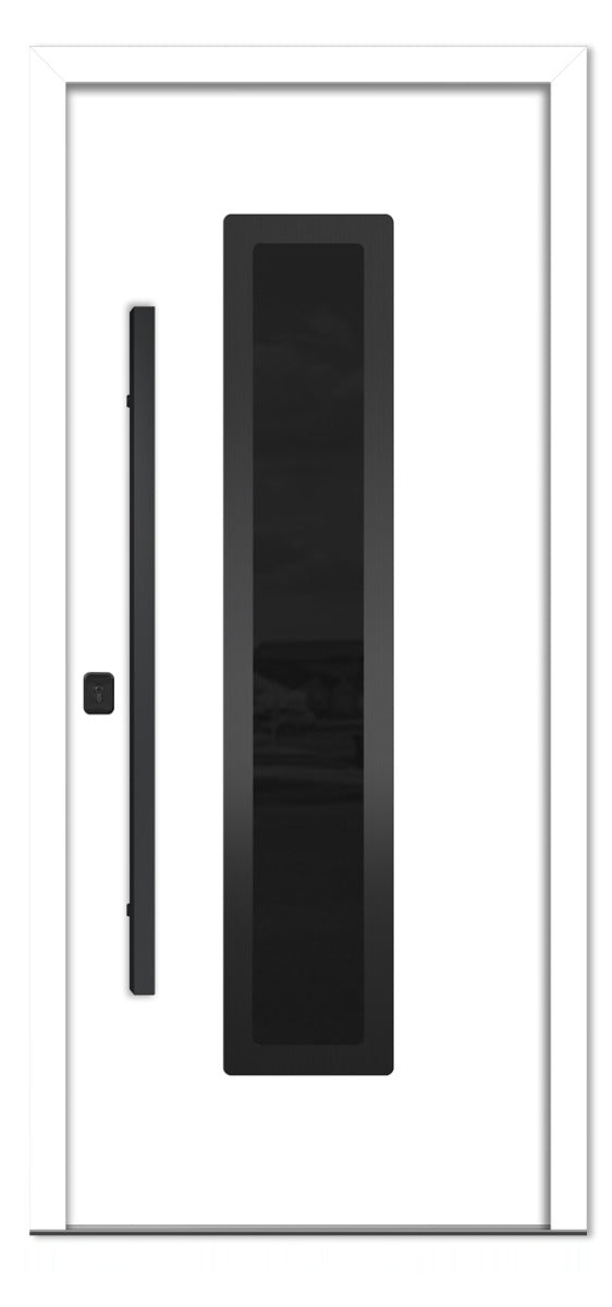 Nova Inox S1 White Modern Exterior Door with Black Stainless Steel