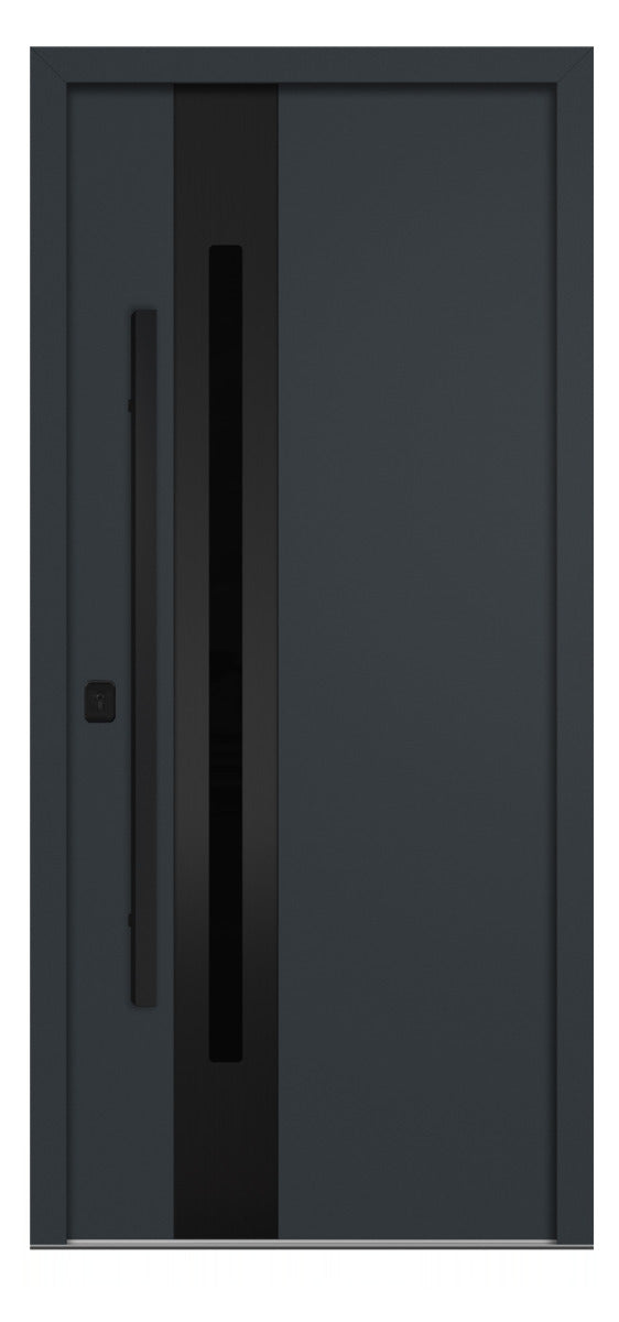 Nova Inox S2 Gray Modern Exterior Door with Black Stainless Steel