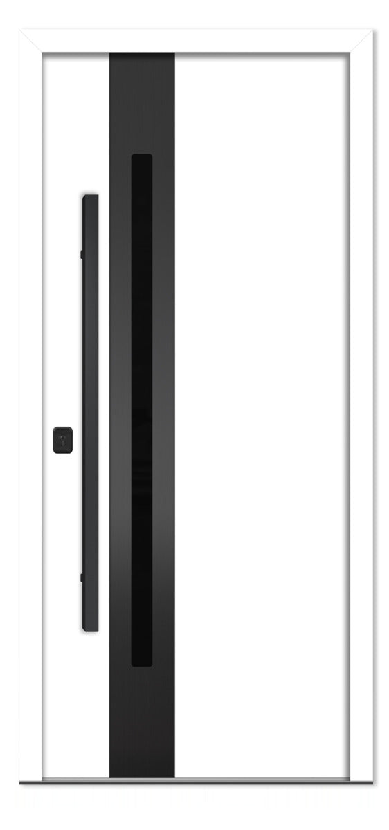 Nova Inox S2 White Modern Exterior Door with Black Stainless Steel