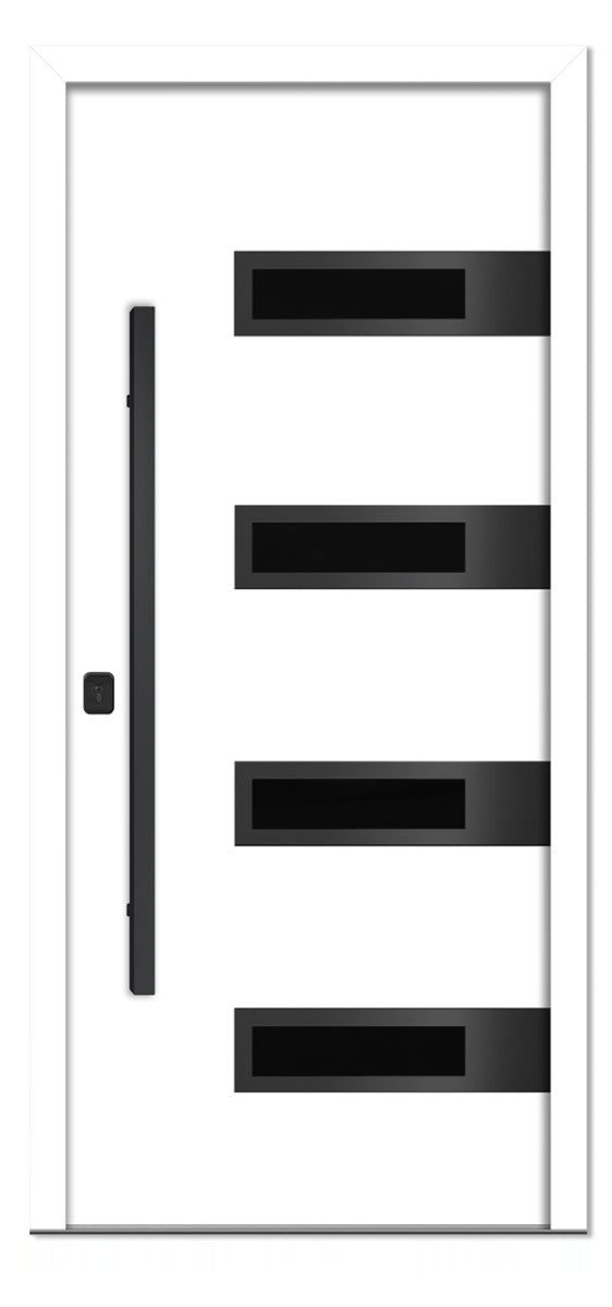 Nova Inox S4 White Modern Exterior Door with Black Stainless Steel