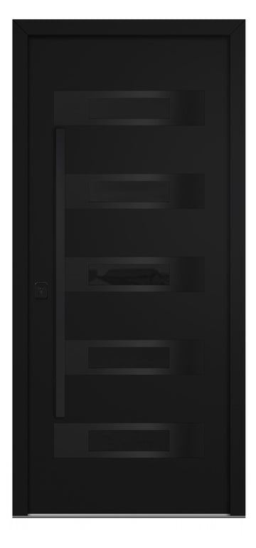 Nova Inox S5 Black Modern Exterior Door with Black Stainless Steel