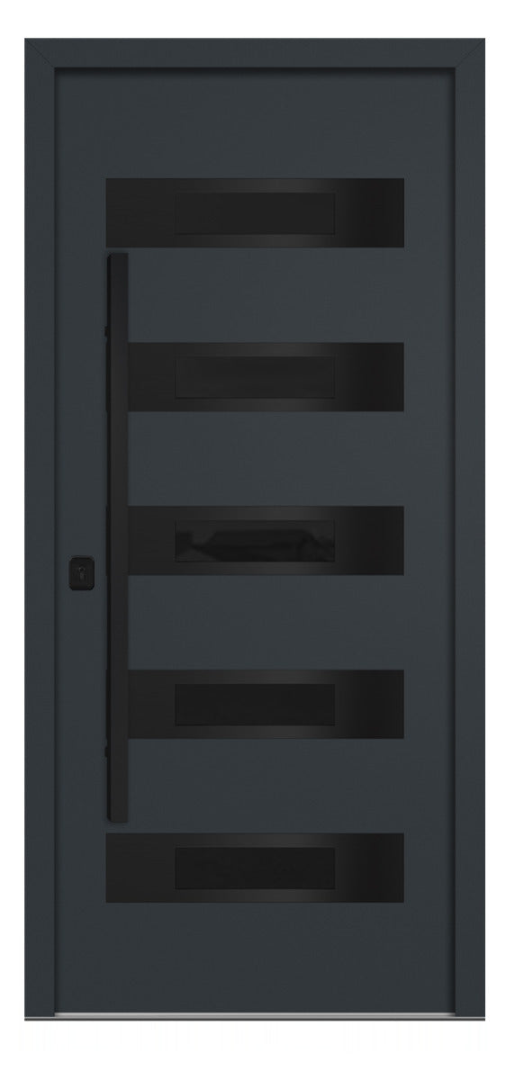 Nova Inox S5 Gray Modern Exterior Door with Black Stainless Steel