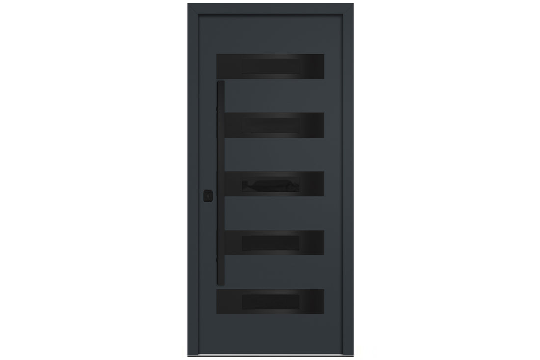 Nova Inox S5 Gray Modern Exterior Door with Black Stainless Steel