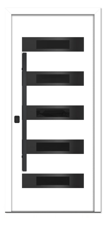 Nova Inox S5 White Modern Exterior Door with Black Stainless Steel