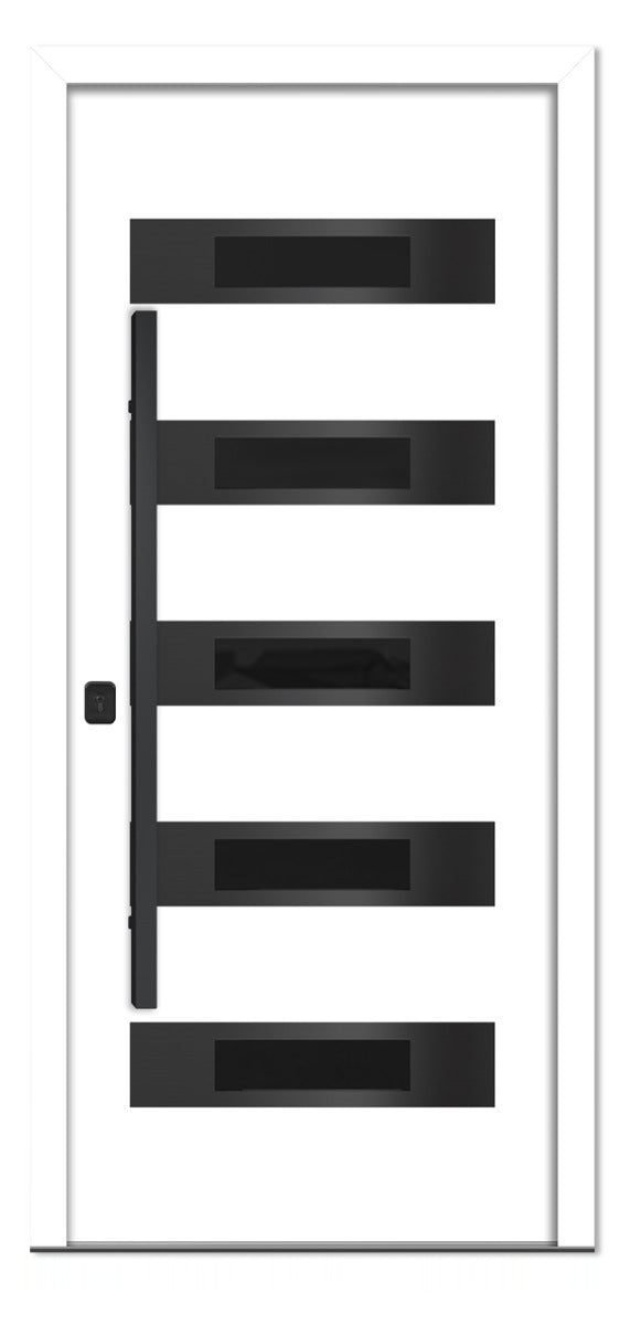 Nova Inox S5 White Modern Exterior Door with Black Stainless Steel