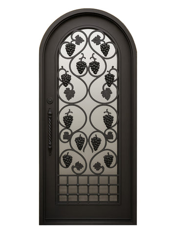 Royal 073 Wrought Iron Custom Exterior Door by Nova