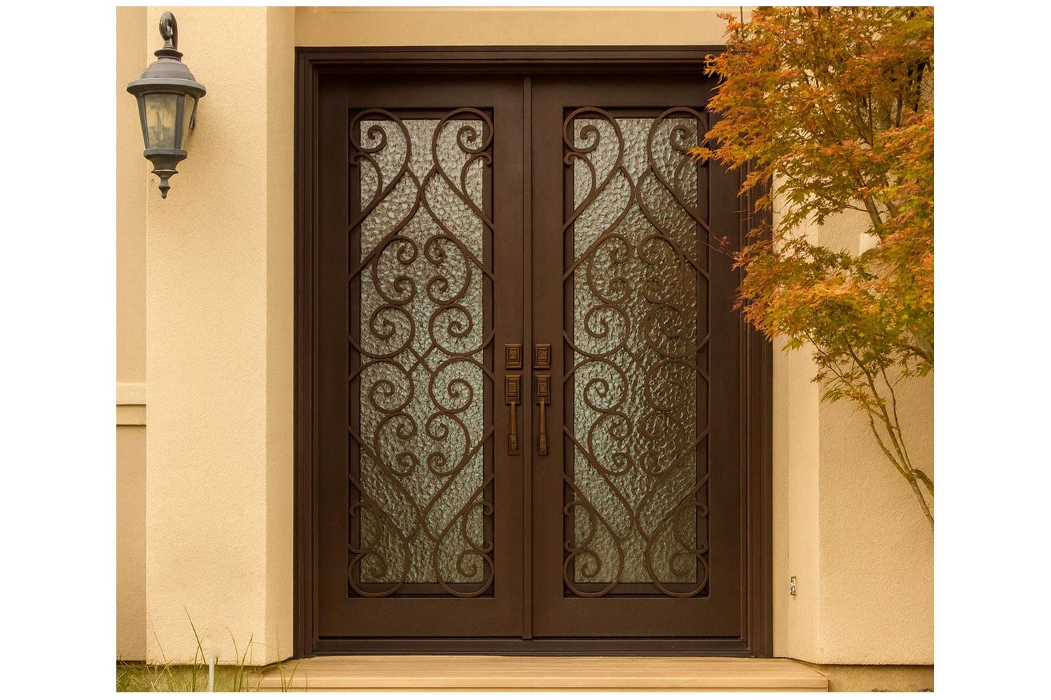 Royal 139 Wrought Iron Custom Exterior Door by Nova