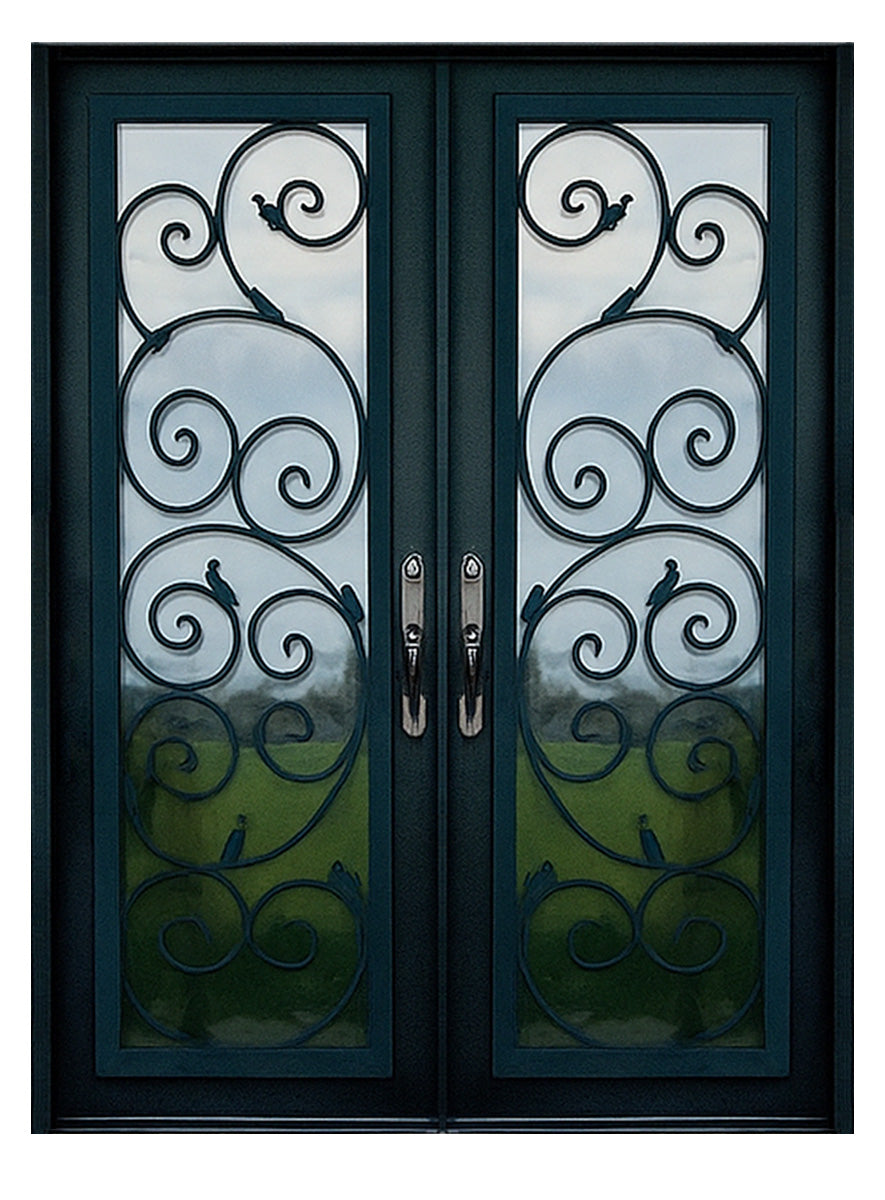 Royal 149 Wrought Iron Custom Exterior Door by Nova