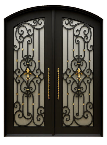 Royal 182 Wrought Iron Custom Exterior Door by Nova