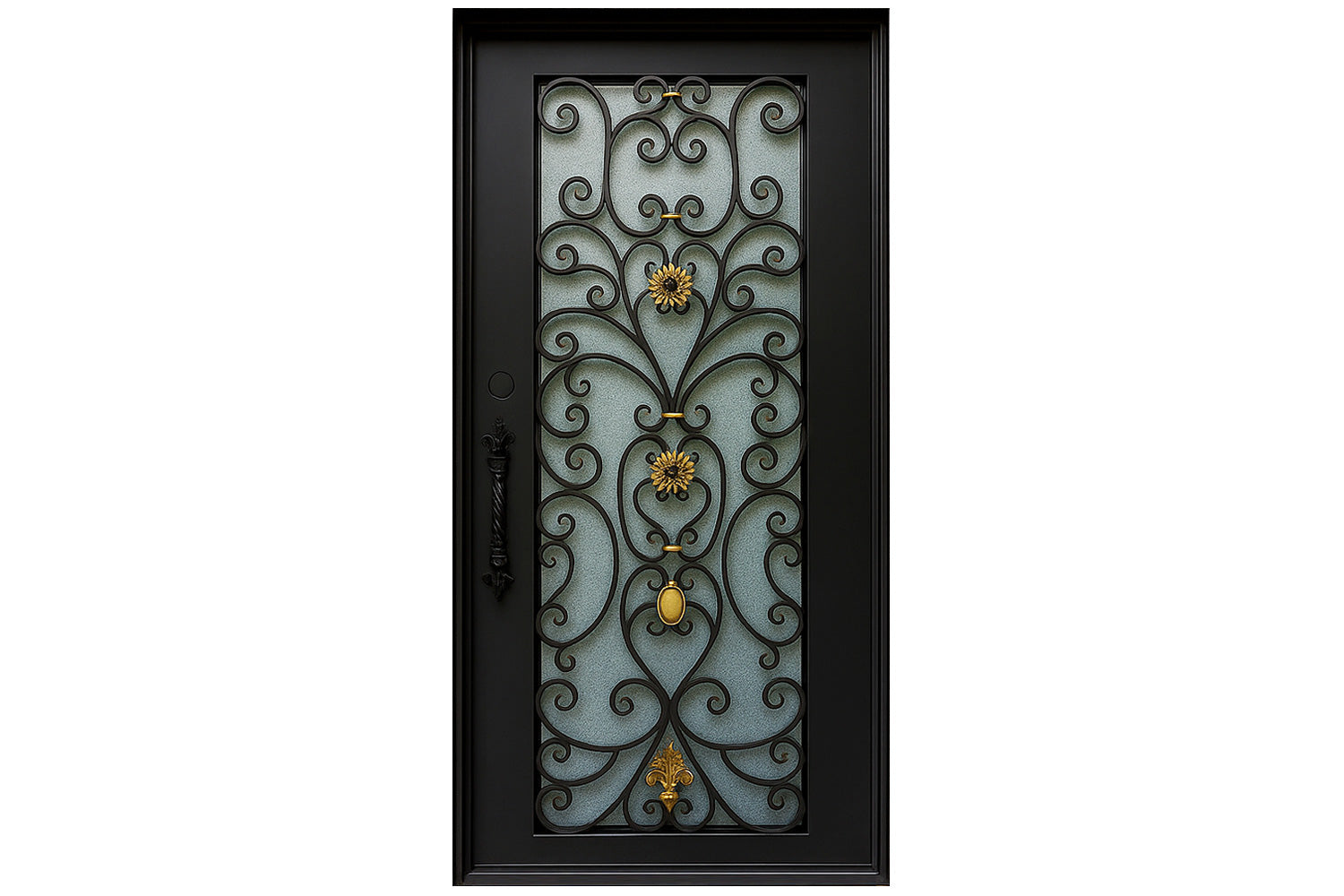 Royal 220 Wrought Iron Custom Exterior Door by Nova
