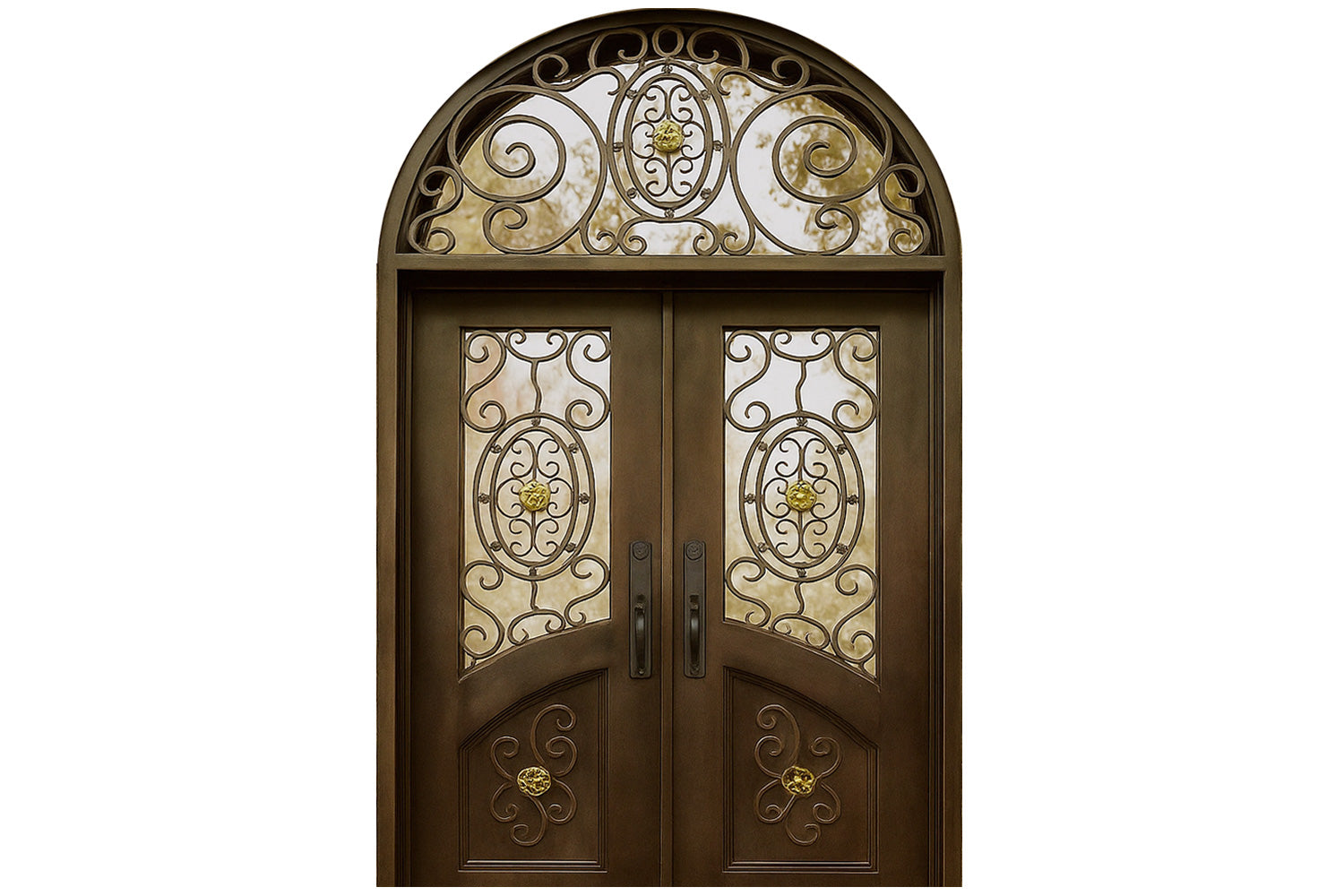 Royal 223 Wrought Iron Custom Exterior Door by Nova