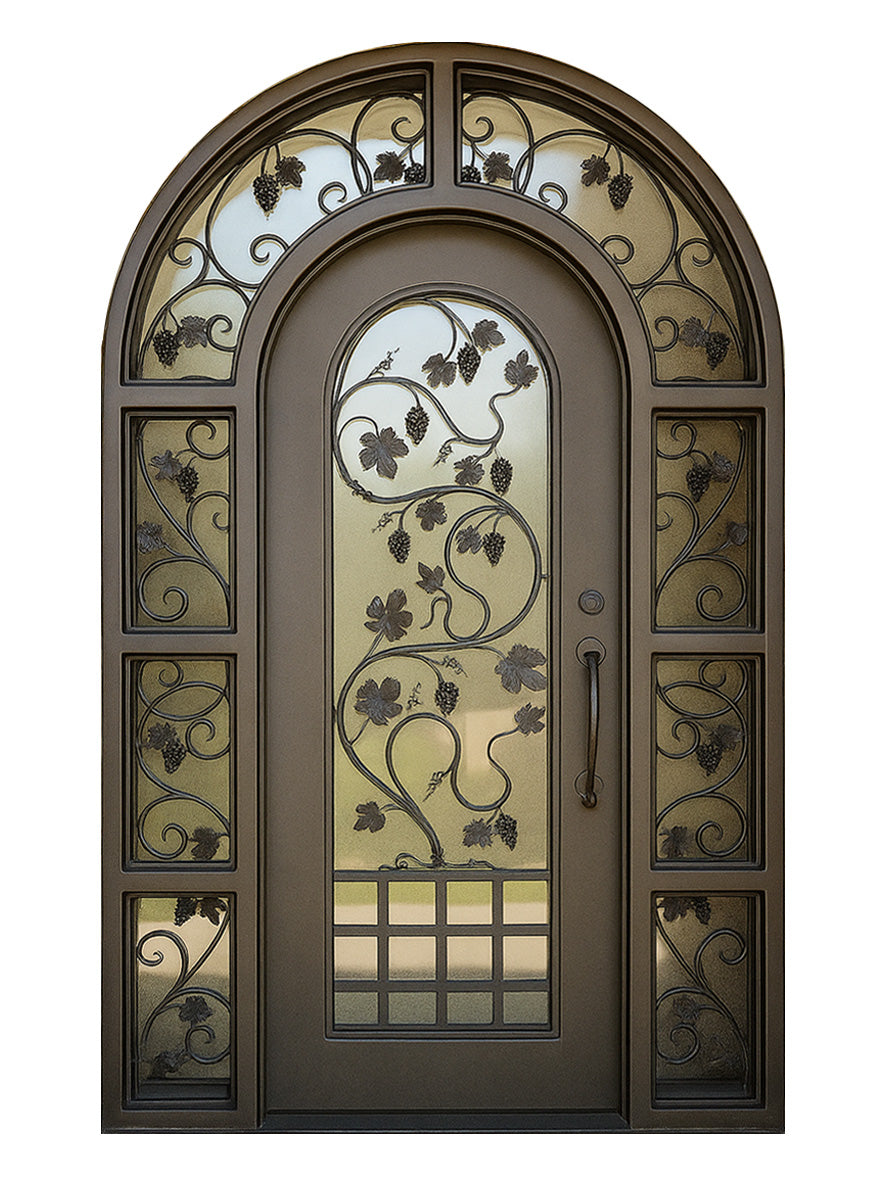 Royal 224 Wrought Iron Custom Exterior Door by Nova