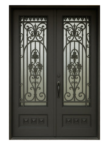 Royal 240 Wrought Iron Custom Exterior Door by Nova