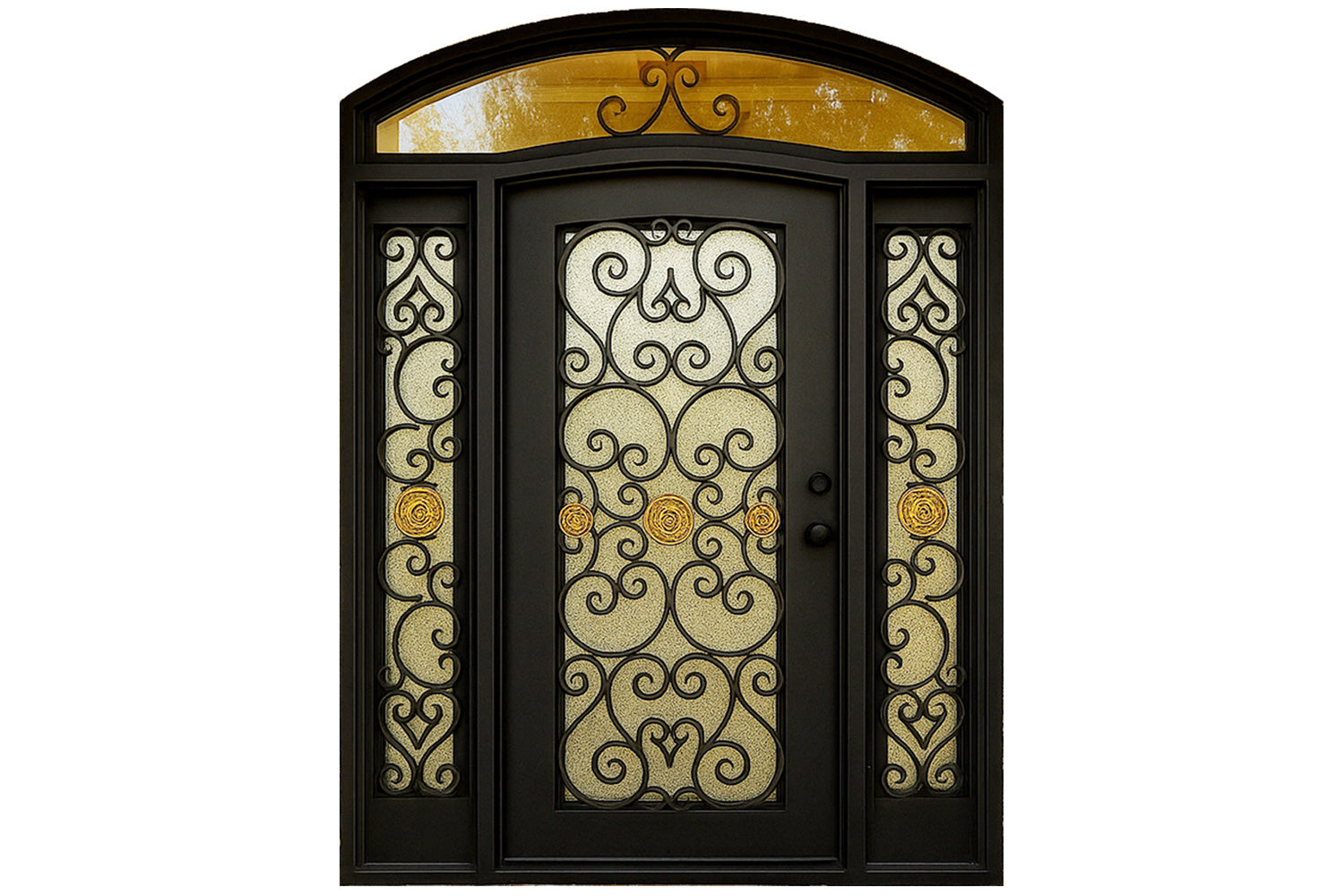 Royal 248 Wrought Iron Custom Exterior Door by Nova