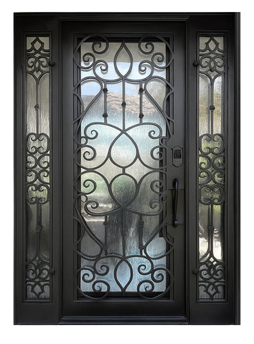 Royal 255 Wrought Iron Custom Exterior Door by Nova