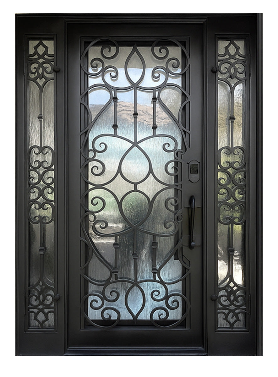 Royal 255 Wrought Iron Custom Exterior Door by Nova