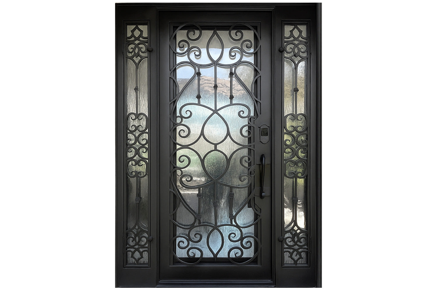 Royal 255 Wrought Iron Custom Exterior Door by Nova