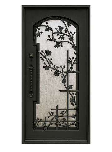 Royal 261 Wrought Iron Custom Exterior Door by Nova
