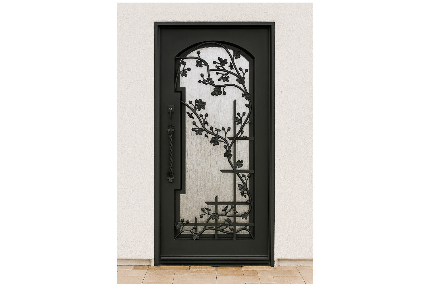 Royal 261 Wrought Iron Custom Exterior Door by Nova