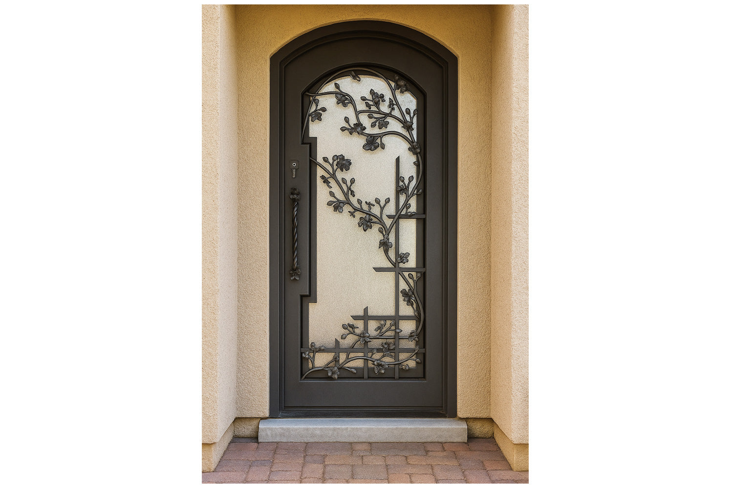 Royal 261 Wrought Iron Custom Exterior Door by Nova