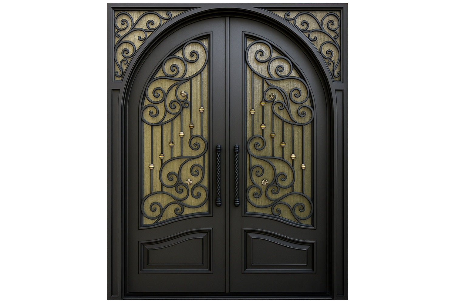 Royal 267 Wrought Iron Custom Exterior Door by Nova