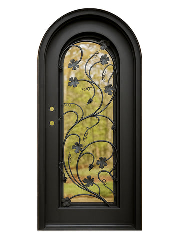 Royal 277 Wrought Iron Custom Exterior Door by Nova