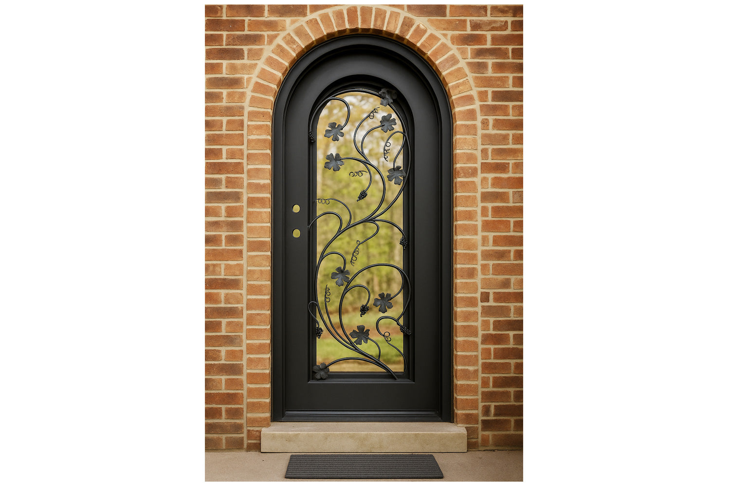 Royal 277 Wrought Iron Custom Exterior Door by Nova