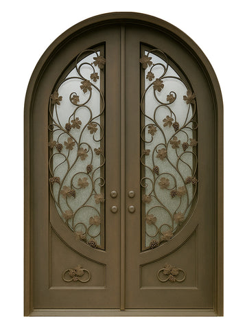 Royal 279 Wrought Iron Custom Exterior Door by Nova