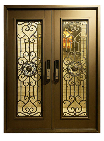 Royal 291 Wrought Iron Custom Exterior Door by Nova