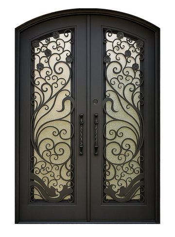 Royal 294 Wrought Iron Custom Exterior Door by Nova
