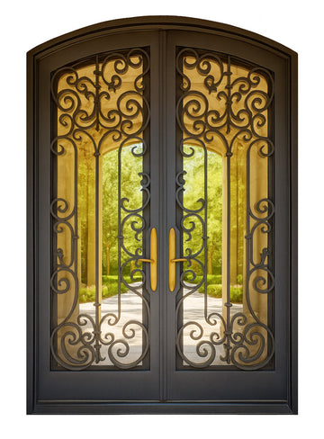 Royal 301 Wrought Iron Custom Exterior Door by Nova