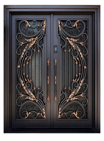 Royal 303 Wrought Iron Custom Exterior Door by Nova