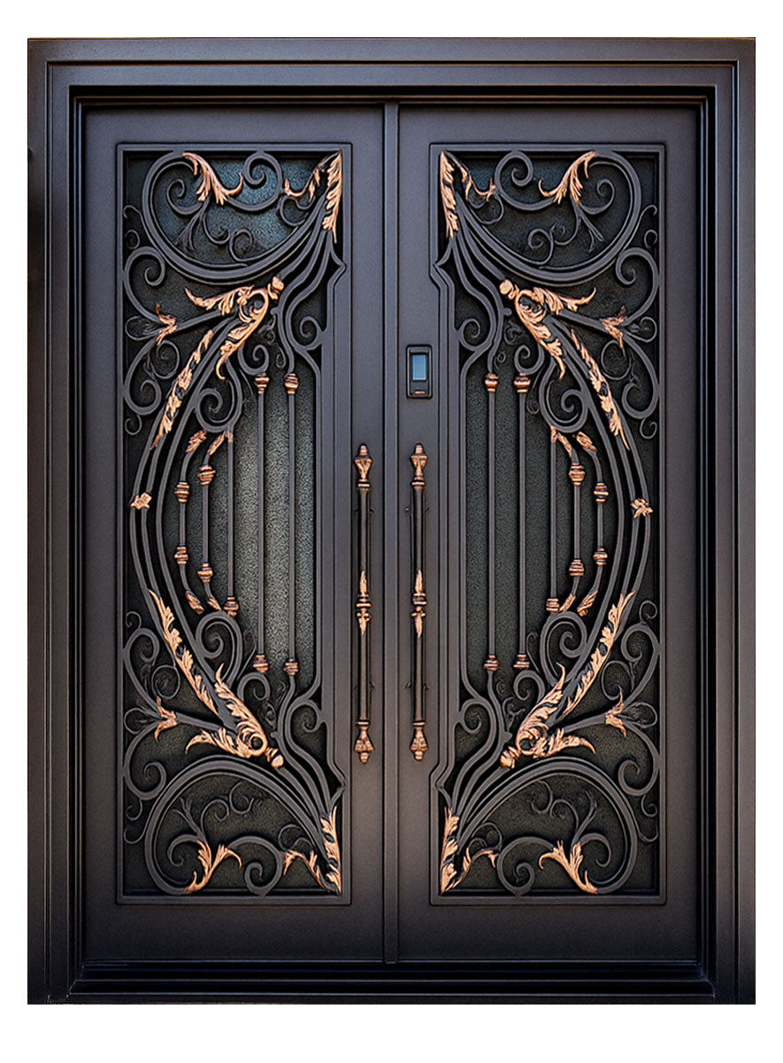 Royal 303 Wrought Iron Custom Exterior Door by Nova