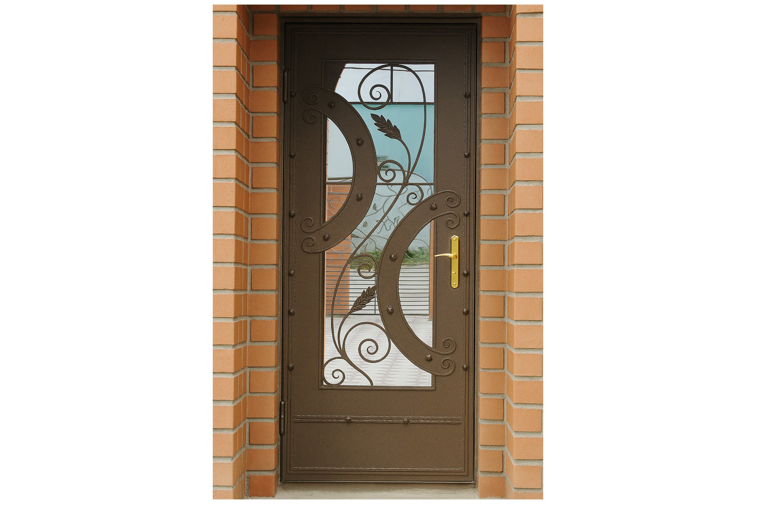 Royal 311 Wrought Iron Custom Exterior Door by Nova