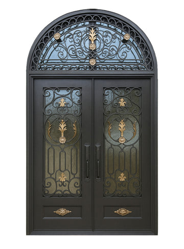 Royal 313 Wrought Iron Custom Exterior Door by Nova