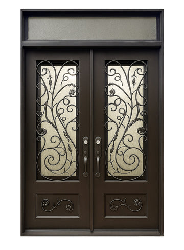 Royal 321 Wrought Iron Custom Exterior Door by Nova