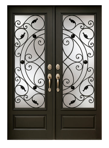 Royal 332 Wrought Iron Custom Exterior Door by Nova
