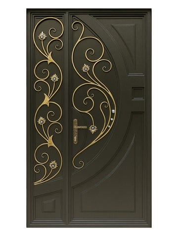 Royal 340 Wrought Iron Custom Exterior Door by Nova