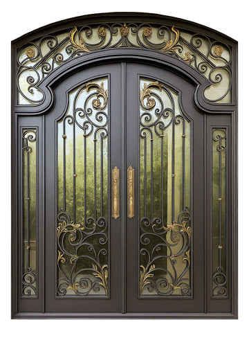 Royal 350 Wrought Iron Custom Exterior Door by Nova