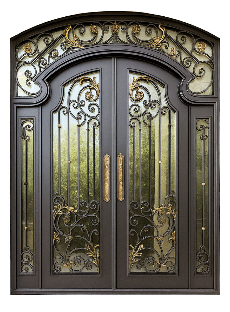 Royal 350 Wrought Iron Custom Exterior Door by Nova