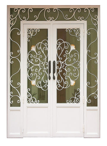 Royal 354 Wrought Iron Custom Exterior Door by Nova