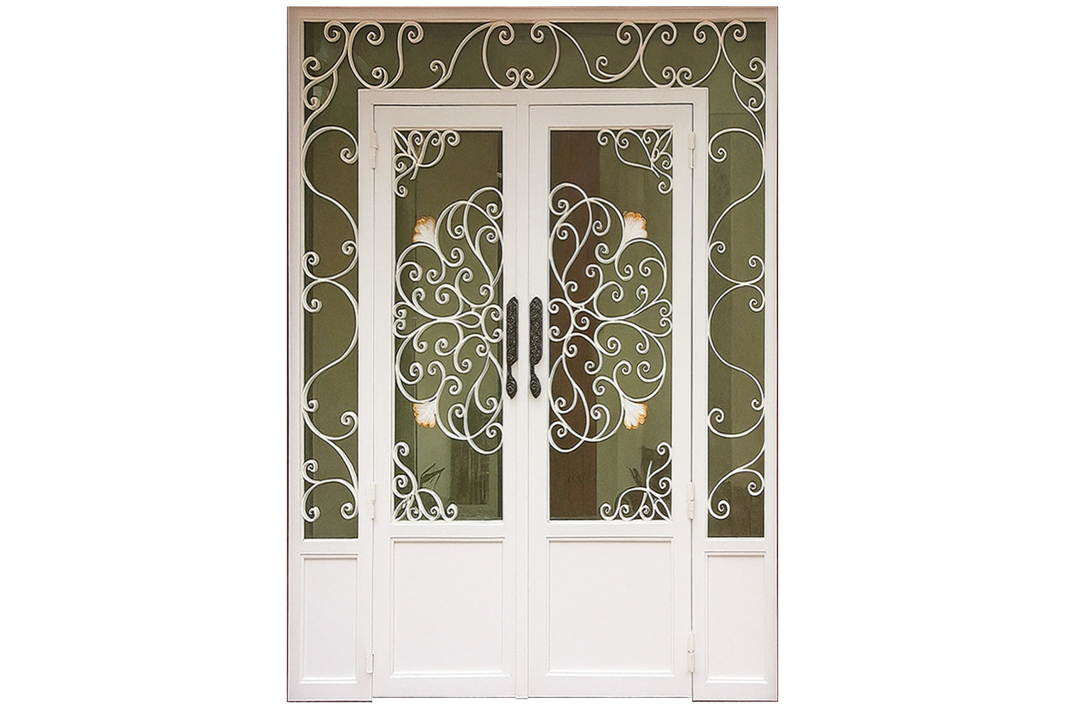 Royal 354 Wrought Iron Custom Exterior Door by Nova