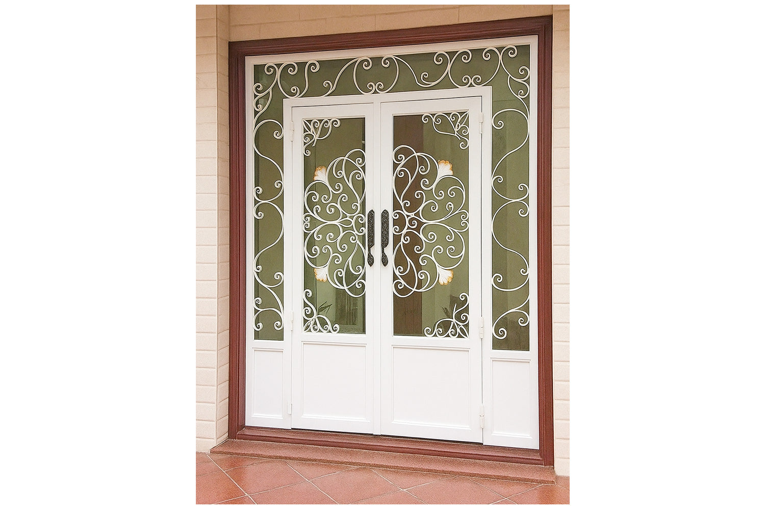 Royal 354 Wrought Iron Custom Exterior Door by Nova